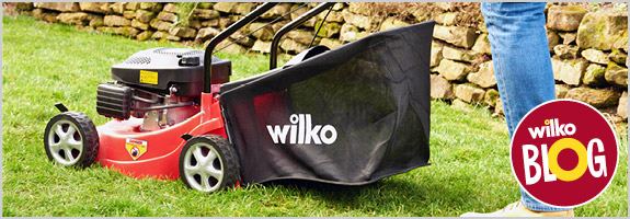wilko garden toys